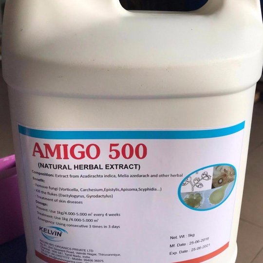 AMIGO 500 – India